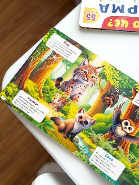 🦊📖 Книга з віконцями &laquo;Хто це? Лісові тварини&raquo;  🌲🐻 9786178638863 фото